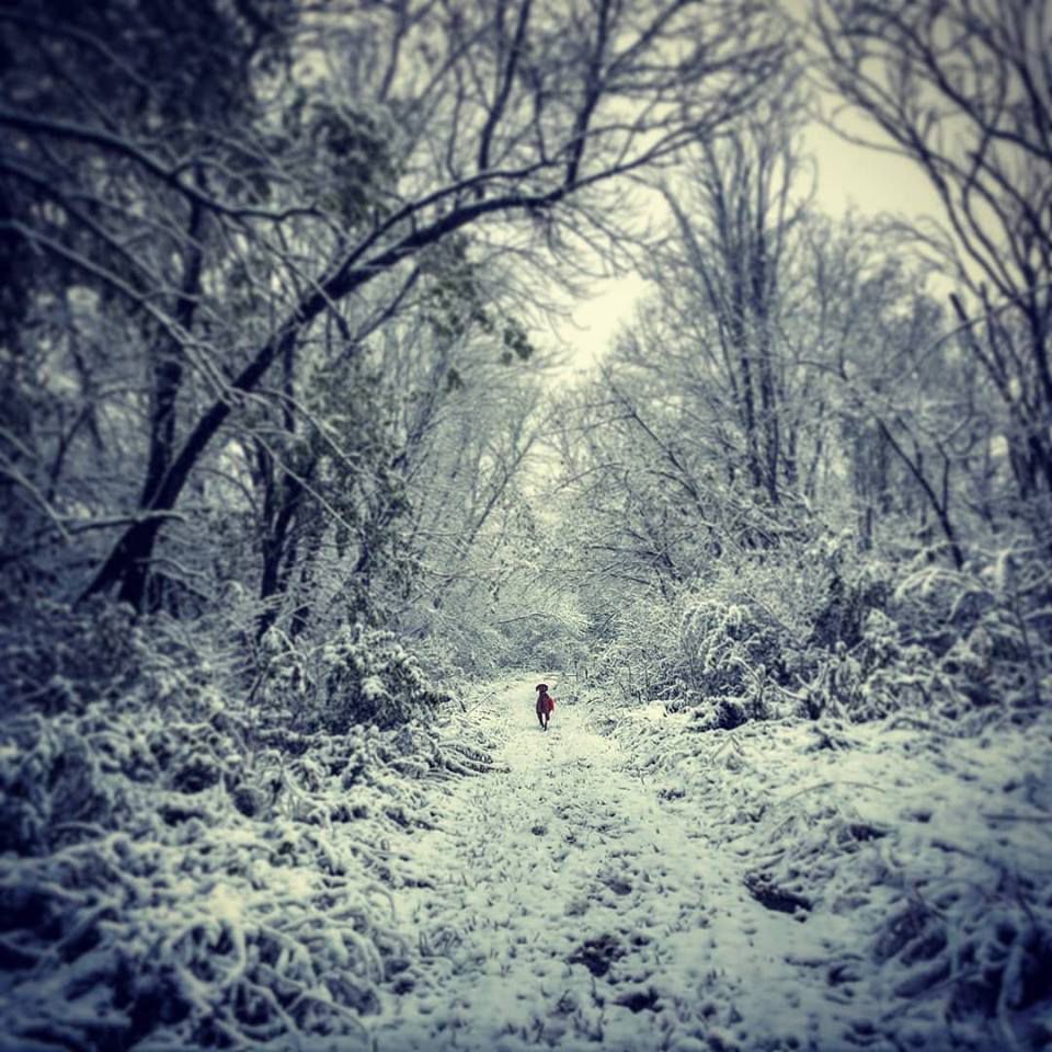 Snow, 10/14